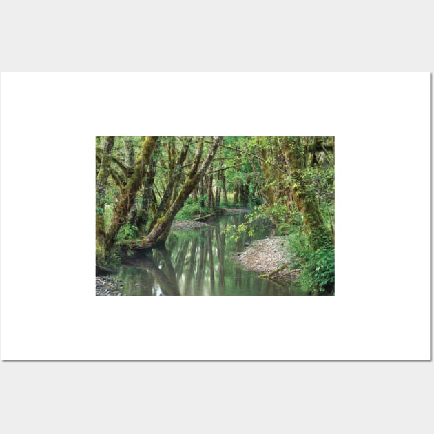 Red Alder Trees With Moss Hoh Rainforest Olympic National Park Wall Art by AinisticGina